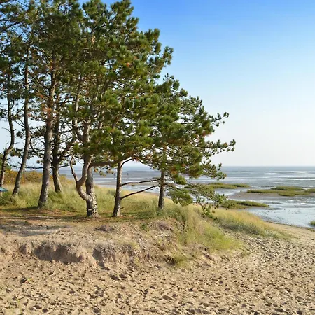 Amazing In Romo With Wifi